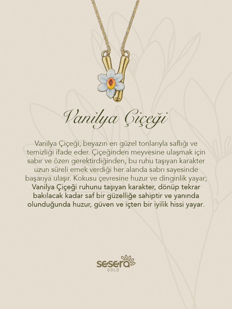 Blossom Letter V Harfi Vanilya Çiçeği Kolye