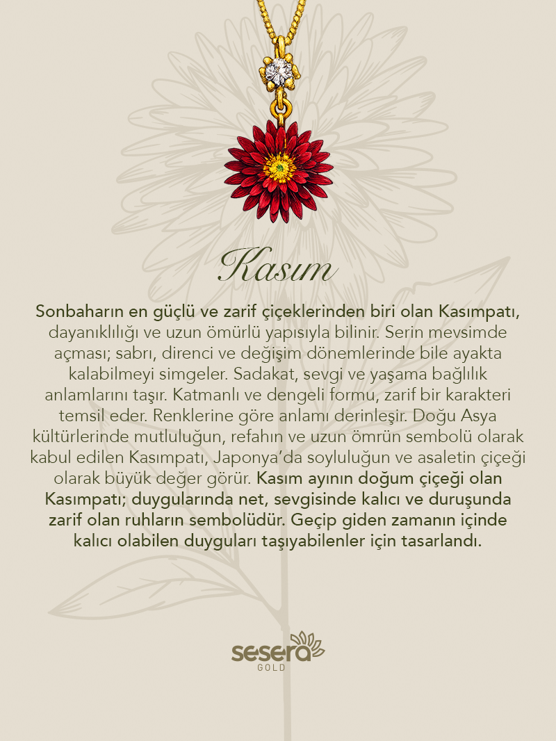 Doğum Çiçeği Kasım Ayı Kasımpatı Kolye