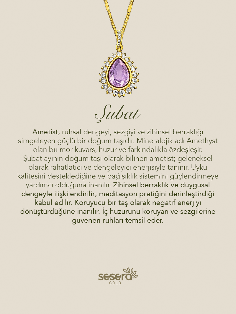 Doğum Taşı Şubat Ayı Ametist Kolye Ucu