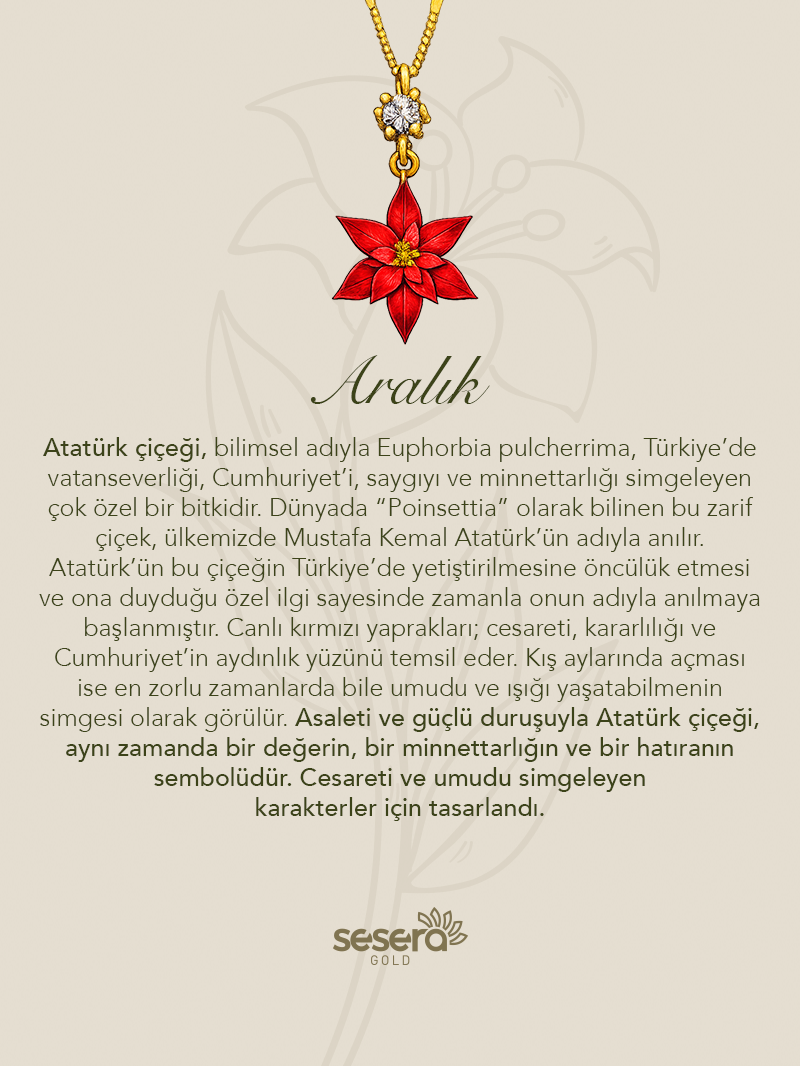 Doğum Çiçeği Aralık Ayı Atatürk Kolye Ucu