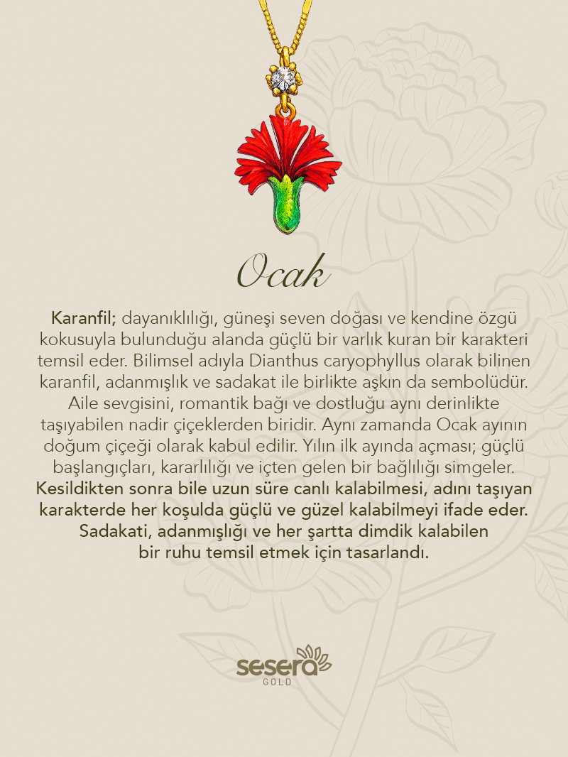 Doğum Çiçeği Ocak Ayı Karanfil Kolye Ucu
