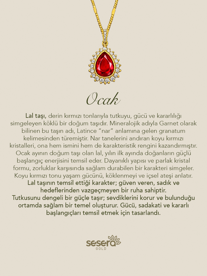 Doğum Taşı Ocak Ayı Garnet Kolye Ucu